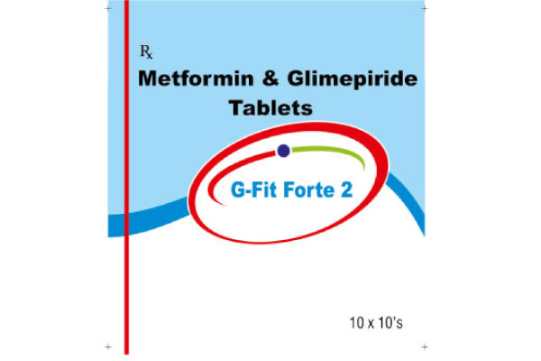 G-FIT FORTE 2