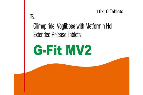 G-FIT MV2