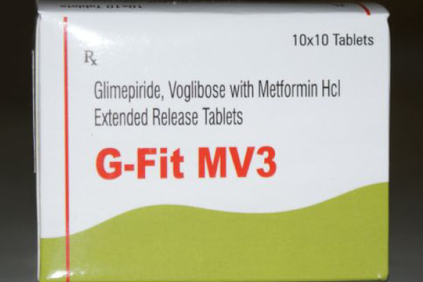 G-FIT MV3